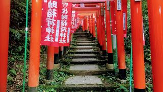 鳥居と狐がたくさん