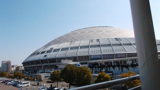 オープン戦に行きました。