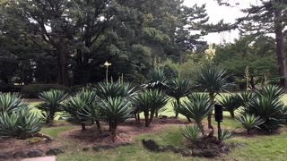 美術館は修理中