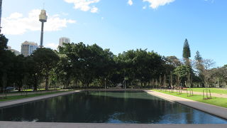 綺麗に整ったプール