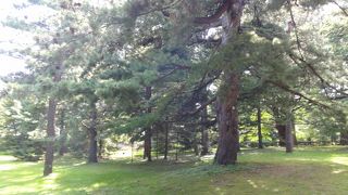 広い敷地、博物館は必見。