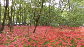 円形に蛇行した不思議な土地