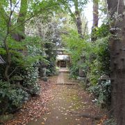 うっそうとした藪に囲まれた神社