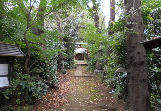 うっそうとした藪に囲まれた神社