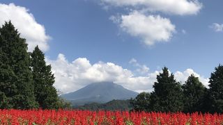 大山と四季折々の花の絶景が楽しめます