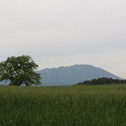 2度目の訪問も曇天・・・