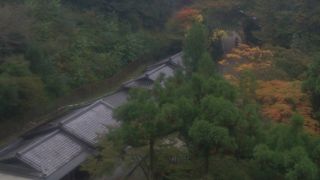 京都を代表するお寺の一つ