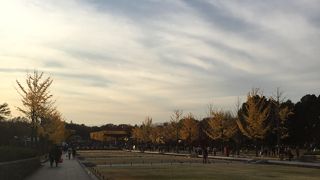 昭和記念公園の紅葉