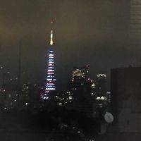 東京タワー見えた！