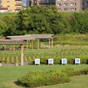 下町ロケット”のロケ地(終)～土手（堤防）