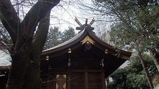 八王子散策で子安神社に行きました