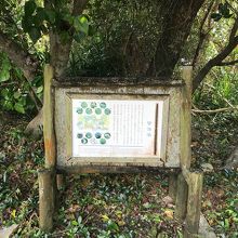 こちらは看板です。