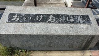 観光スポットとは言えない橋