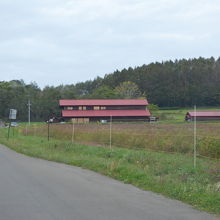 緑の中に赤い屋根が映えます