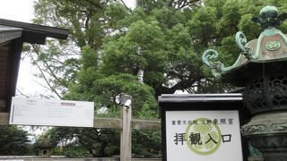 江戸時代以前から歴史を見つめてきました