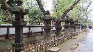 ２００以上の灯籠が並んでいます