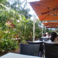 道路脇なんですけどね、悪くないですよ。