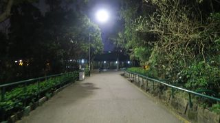 台風で半分クローズとは・・・