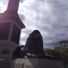 ライオンのアップ