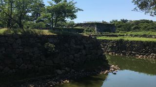 鯉や亀たちが餌を求めて、集合します！