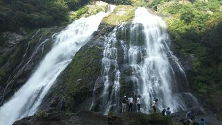 迫力、水しぶき‼?すごいです。