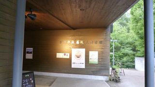 縄文のビーナスと仮面の女神