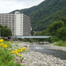 利根川がすぐ近く