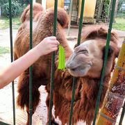 アジア最古の動物園