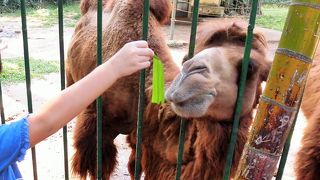 アジア最古の動物園