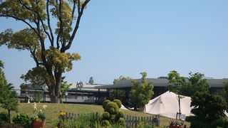 アウトレットの横