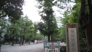 健康器具が多い公園でした