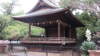 内部が見えます