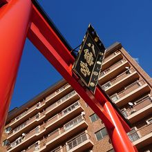 立派な鳥居が出迎えてくれます