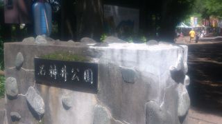 近隣住民の憩いの公園