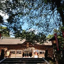 平日だったからか、落ち着いてお参りできました。