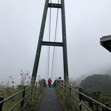 最初はそんなに怖いと思わなかったけど、これがなかなか揺れる