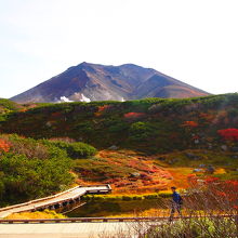 姿見駅を出たところ