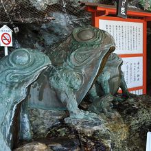 境内には神使のカエルの置き物が