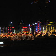 感動の美しさです