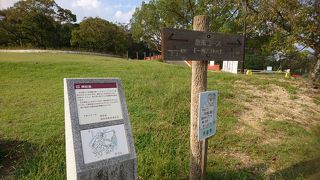 たくさんの人が周辺を歩いている