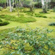 苔むした静かな寺