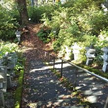 灯籠に川柳が書いてある