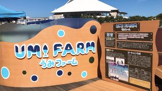 うみファームではでは餌やり 八景島シーパラ By とよなか 横浜 八景島シーパラダイス アクアリゾーツのクチコミ フォートラベル うみファームではでは餌やり 八景島シーパラ By とよなか 横浜 八景島シーパラダイス アクアリゾーツのクチコミ フォートラベル
