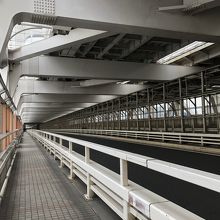 歩き始めたところ