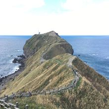 岬への小道