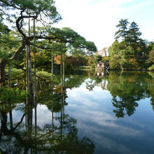 水が鏡のように