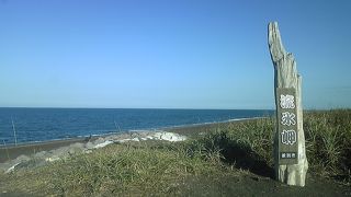 流氷岬の隣にある原生花園