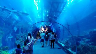 充分楽しむことが出来ました