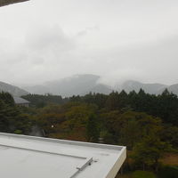 ４階庭園側客室から