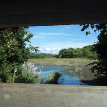 覗ける窓が在ります